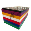 Colorful Ultra-High Molecular Weight Polyethylene (UHMWPE) Sheet